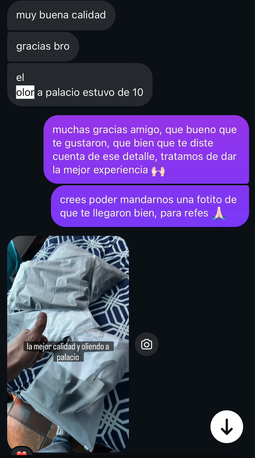 Imagen de galería